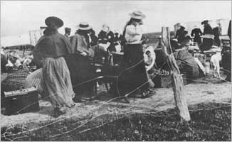 Boer women entering a concentration camp.