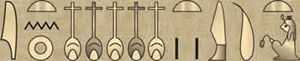 Nefertiti in hieroglyphs. 